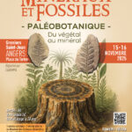 AREMPA-salon2025-web