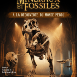 Flyer-2026-P0